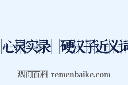 心灵实录·硬汉子近义词是什么意思的图片